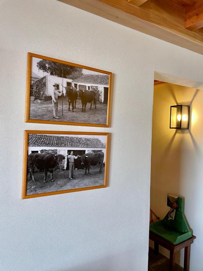 Casa Do Avo Jose Alves Villa Praia da Vitória Eksteriør bilde